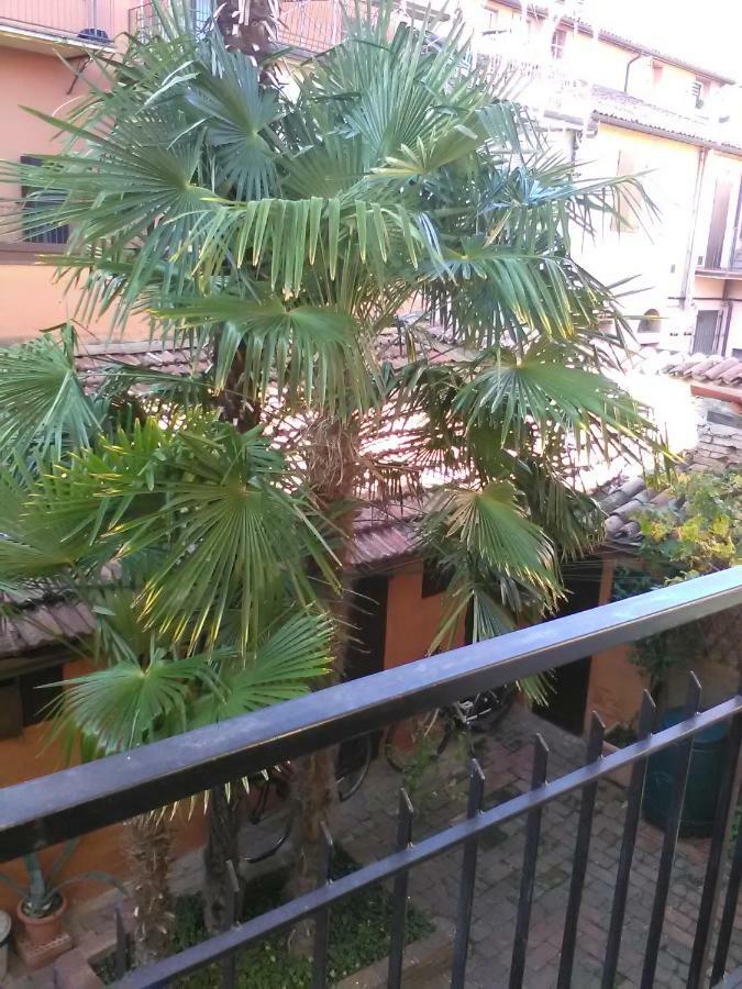 La Culla Apartment Imola Exterior photo